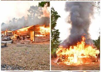 National Drug Law Enforcement Agency Destroys Cannabis Storage Facilities in Edo Forest