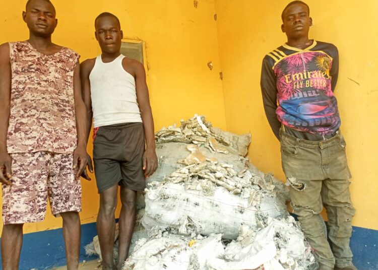 Boko Haram/ISWAP Suspects